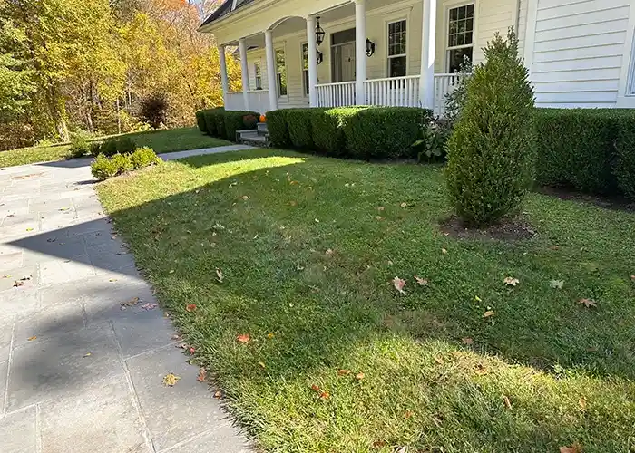 Dependable Landscape Maintenance in Torrington, CT Dependable Landscape Maintenance in Torrington, CT