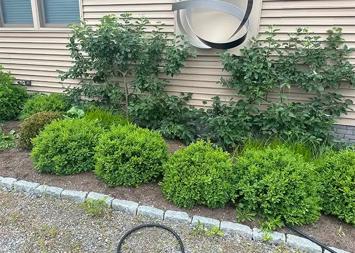 Landscaping Ideas Torrington, CT Landscaping Ideas Torrington, CT